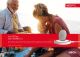 27609 1.0 RONDO 2 - Go All Day Poster A0 (arabic)