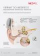 28862 2.0 How VIBRANT SOUNDBRIDGE Works Poster A2 (slovakian)